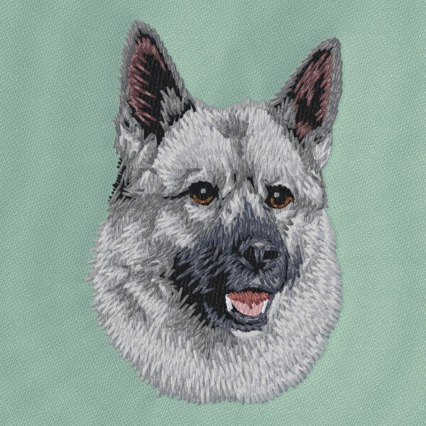 Norský losí pes šedý 1