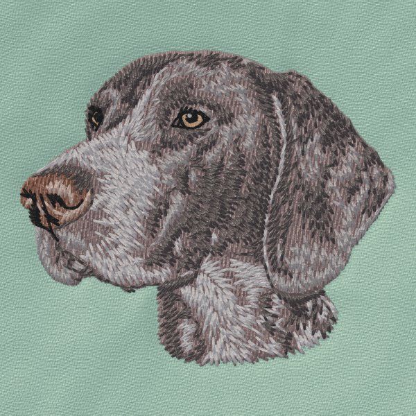 German Shorthaired Pointer 3
