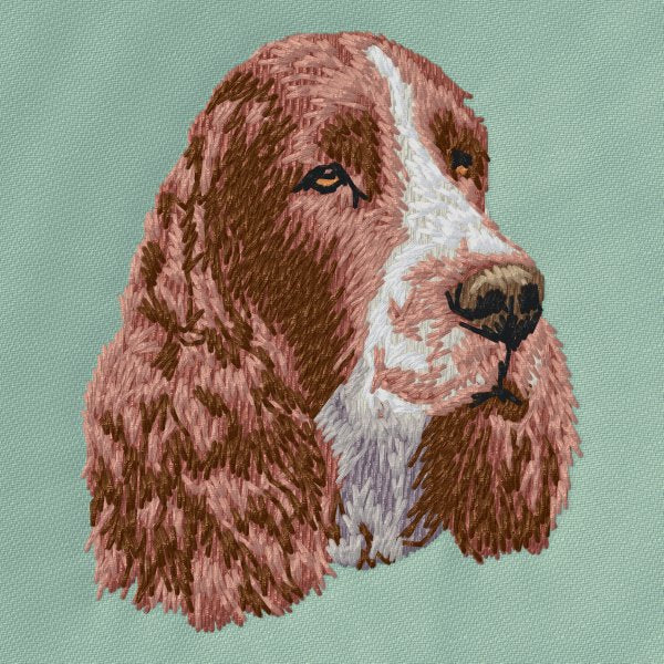 Anglický špringeršpaněl 1