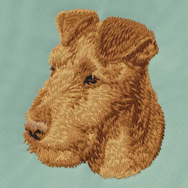 Irish Terrier 2