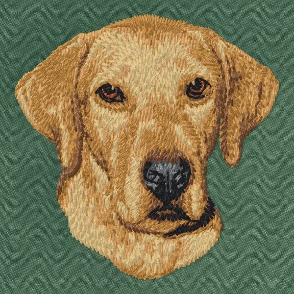 Rhodéský ridgeback 2