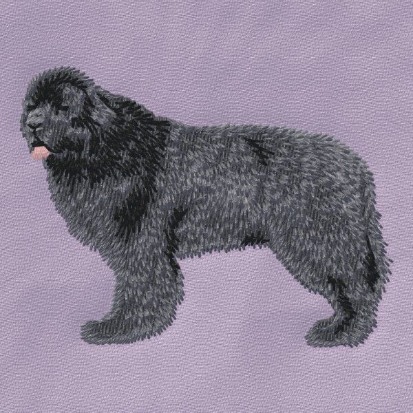 Novofundlandský pes 4