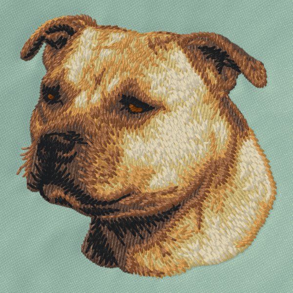 Staffordshire Bull Terrier 2