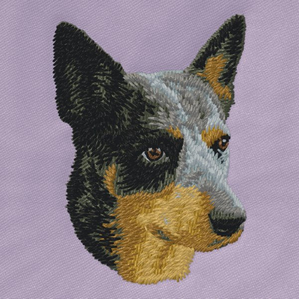 Australian Kelpie 1