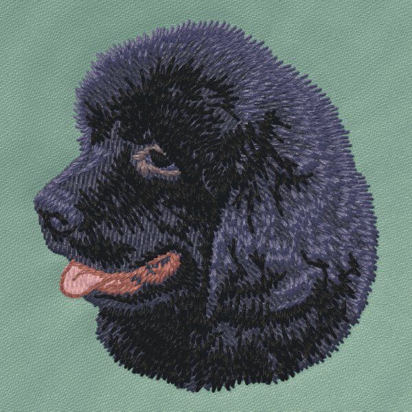 Novofundlandský pes 3