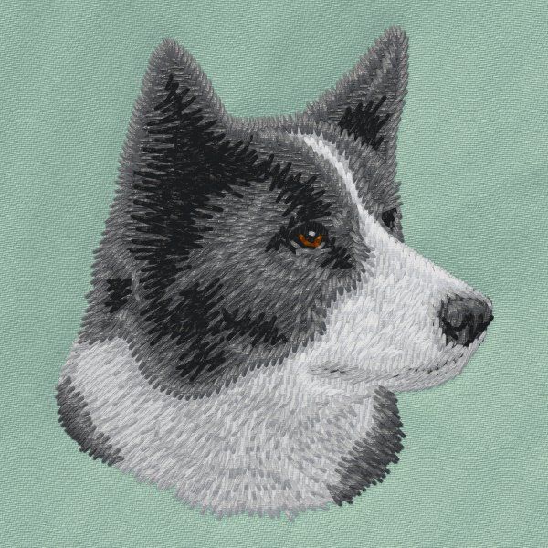 Karelischer Bärenhund