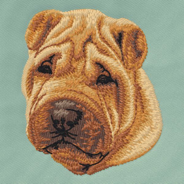 Shar-Pei 3