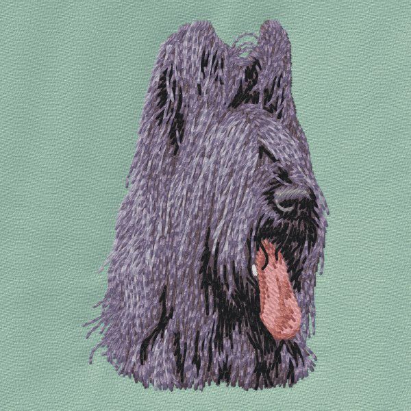 Briard 2