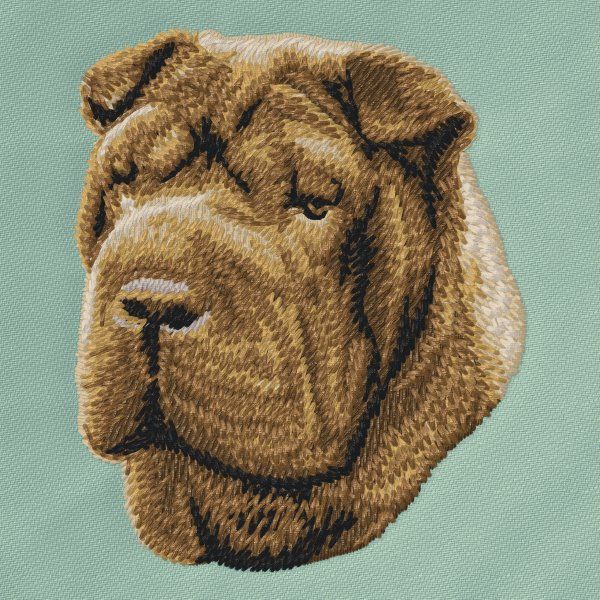 Shar-Pei 2