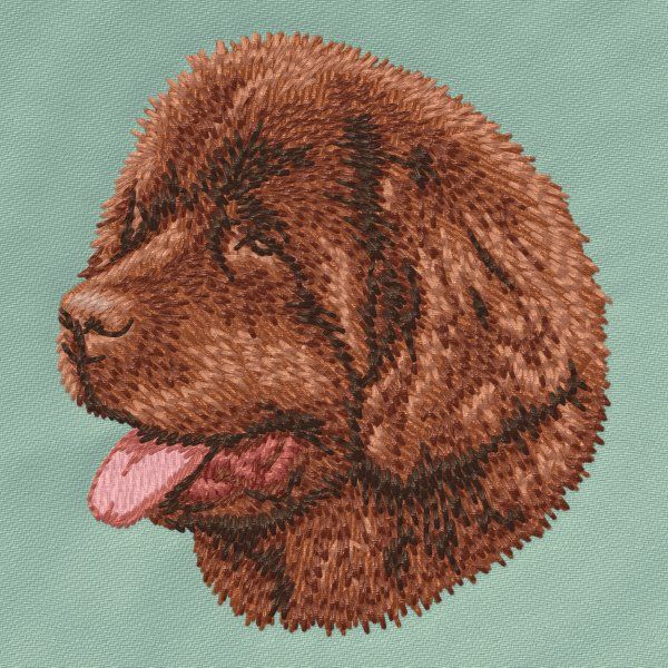 Novofundlandský pes 2