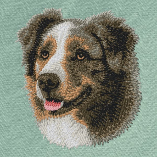 Australian Shepherd 3