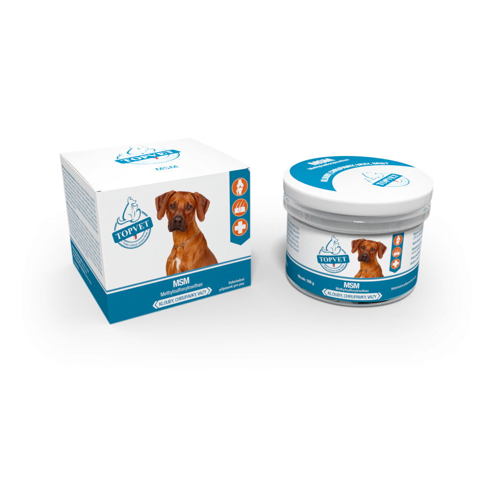 MSM - Methylsulfonylmethan