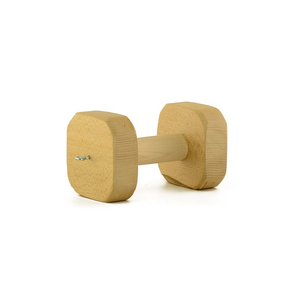 Magnetisches Trainingsapportierholz – Holzzentrum