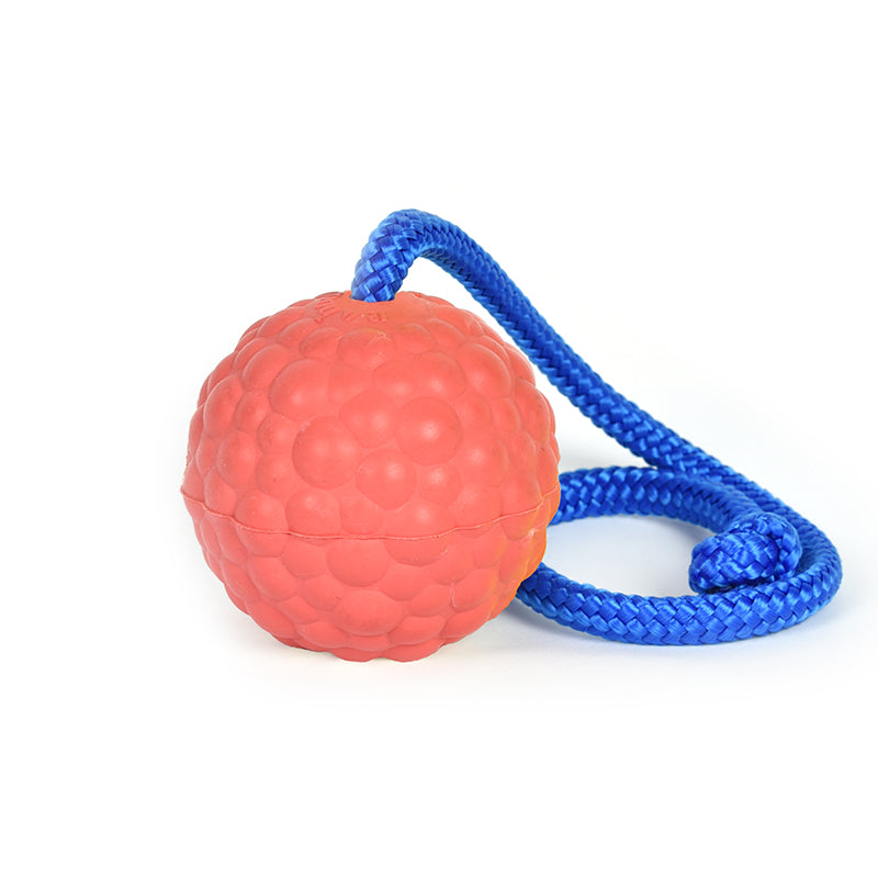 Ball mit Schnur Ø 7 cm - hart