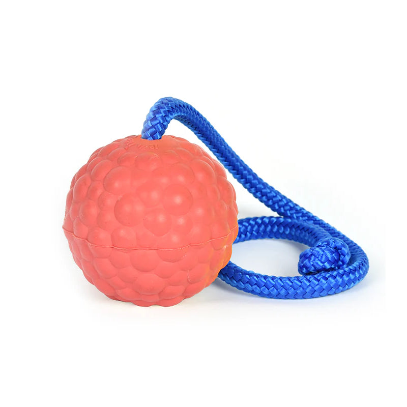 Ball mit Schnur Ø 7 cm - hart