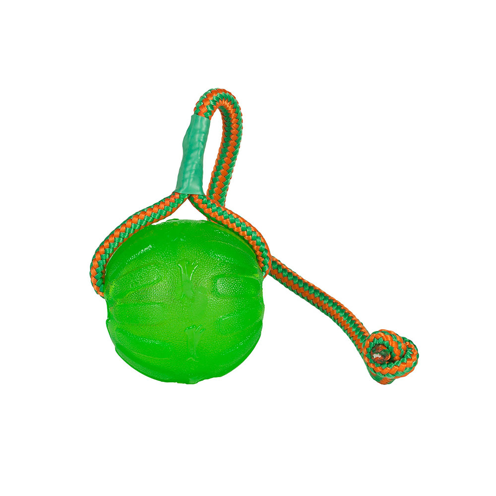 Starmark Swing n' Fling M : Ø 7cm