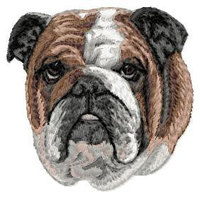 English Bulldog 2