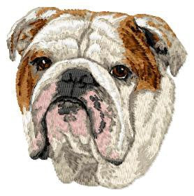 English Bulldog 1