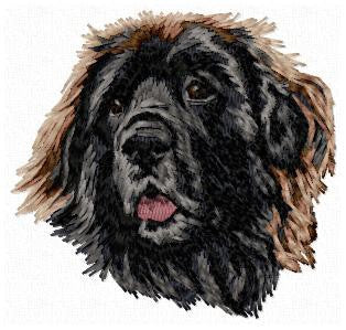 Leonberger 1