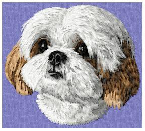 Shih-tzu 1