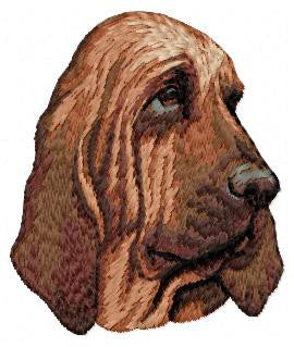 Bloodhound 1