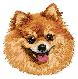 Pomeranian 1