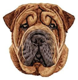 Shar-Pei 1