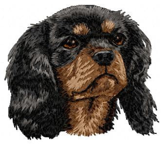 Cavalier King Charles Spaniel 3