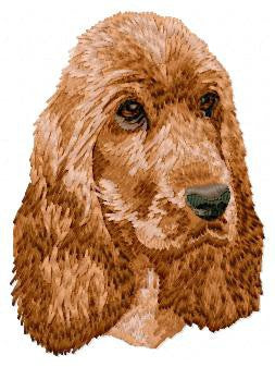 Anglický kokršpaněl 2