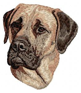 Mastiff 1
