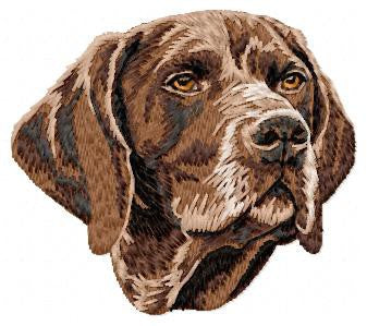German Shorthaired Pointer 2