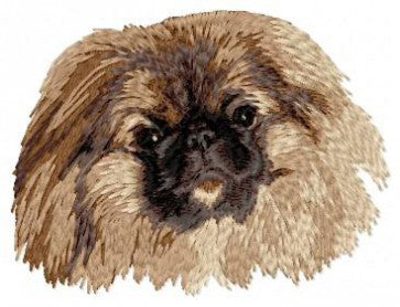 Pekingese 3