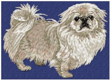Pekingese 1