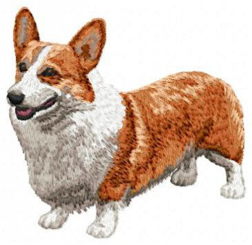 Welsh Corgi Pembroke 1