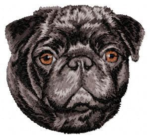 Pug 3