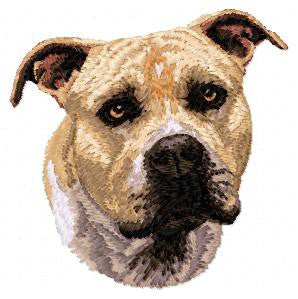 Staffordshire Bull Terrier 1