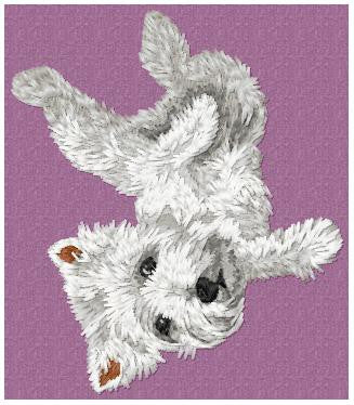 West Highland White Terrier 2