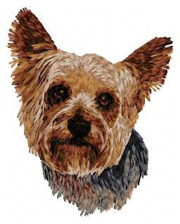 Yorkshire Terrier 9