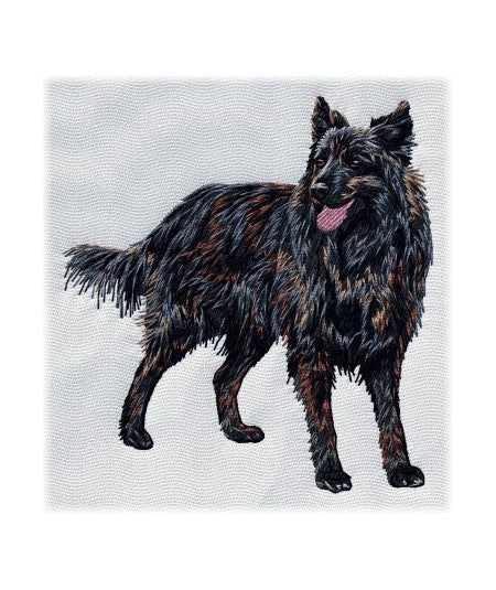 Hollandse Herdershond 3