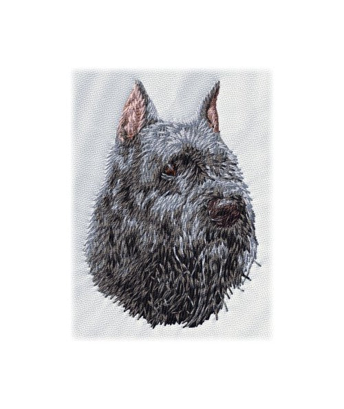 Flanderský bouvier 2