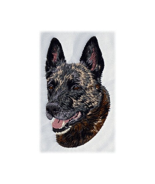 Hollandse Herdershond 2