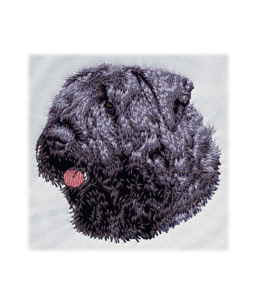 Flanderský bouvier 1