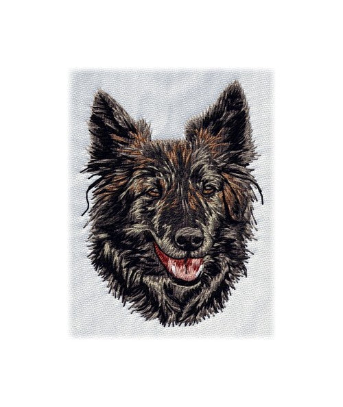 Hollandse Herdershond 1