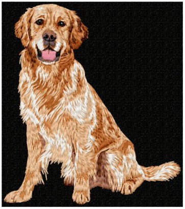 Golden Retriever 1